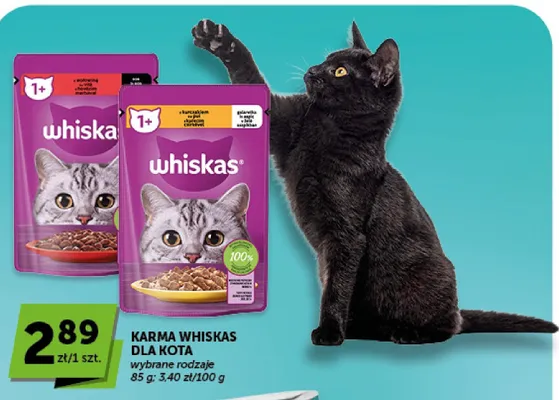 Karma dla kota Whiskas z kurczakiem promocja w Euro Sklep