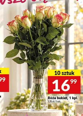 Róża bukiet promocja w Twój Market
