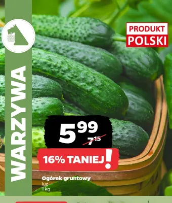 Ogórki gruntowe polskie promocja w Netto