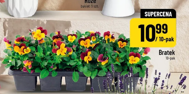 Bratek promocja w POLOmarket