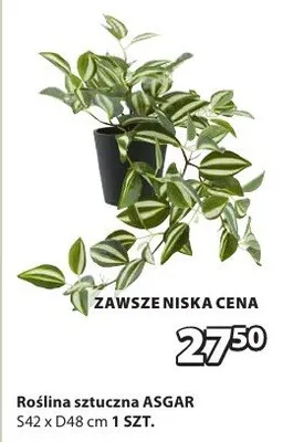Roślina sztuczna promocja w Jysk