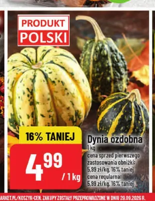 Dynia ozdobna promocja w POLOmarket
