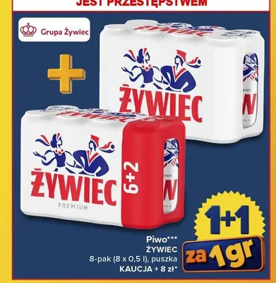 Piwo Żywiec 8-pak promocja w Carrefour Market