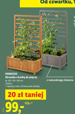 Skrzynka z kratką do pnączy ok. 60 × 28 × 100cm promocja w Lidl