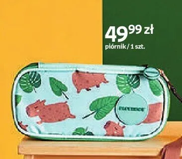 Piórnik Paperdot Cappy Classes płaski promocja w Empik