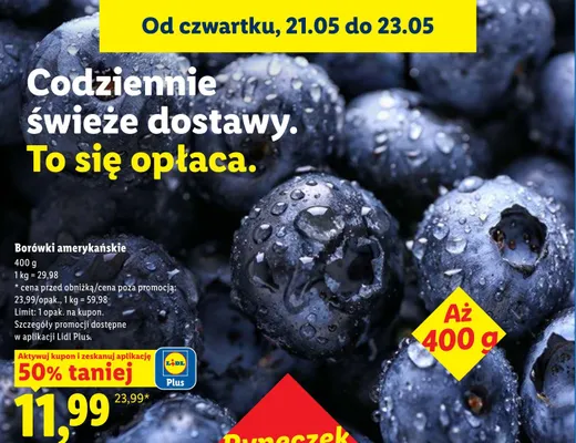 Borówki amerykańskie promocja w Lidl