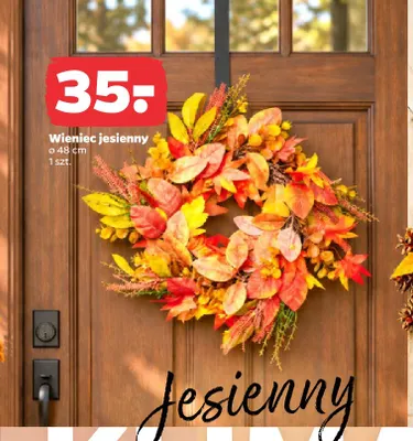 Wieniec jesienny 48 cm promocja w Netto