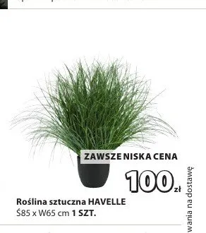Roślina sztuczna Havelle promocja w Jysk