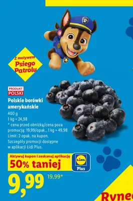 Borówki amerykańskie polskie promocja w Lidl