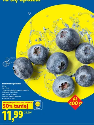 Borówki amerykańskie promocja w Lidl
