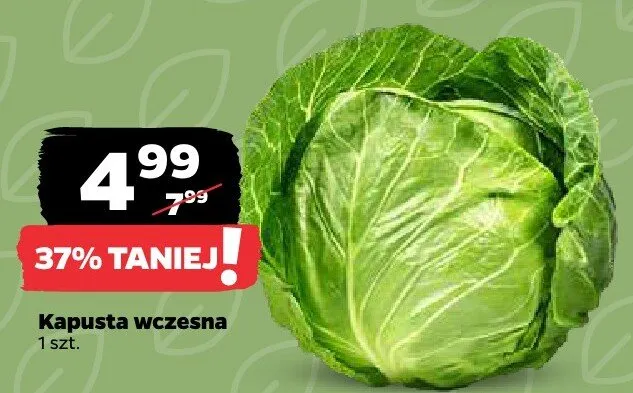Kapusta wczesna promocja w Netto