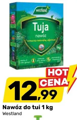 Nawóz do tui Westland promocja w Bricomarche