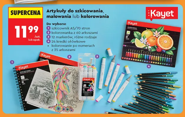 Kolorowanie po numerach z 35 arkuszami Kayet promocja w Biedronka