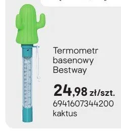 Termometr basenowy kaktus promocja w Castorama