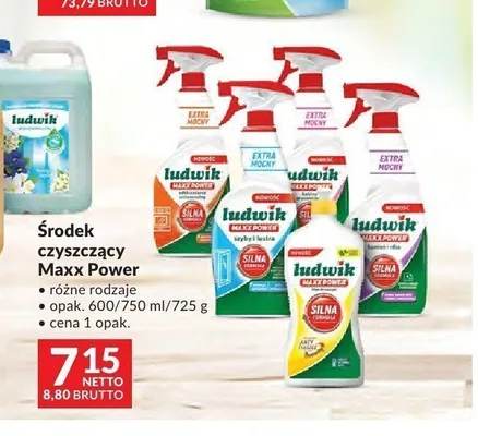 Środek czyszczący Ludwik Maxx Power promocja w Makro