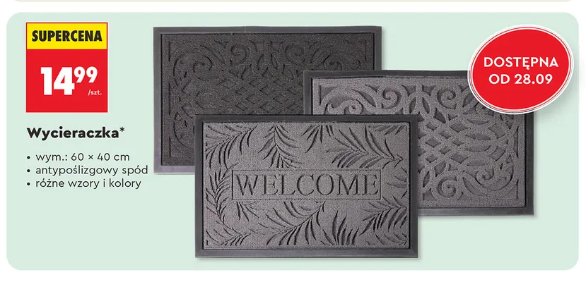 Wycieraczka 60x40 cm promocja w Biedronka