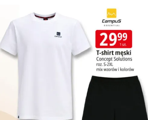 T-shirt męski Campus Essential Concept Solutions roz. S-2XL mix wzorów i kolorów promocja w Leclerc