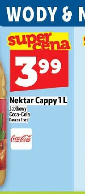 Nektar Cappy Jabłkowy Mętny promocja w TOPAZ