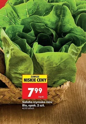 Sałata rzymska mini Bio 2-pak promocja w Biedronka