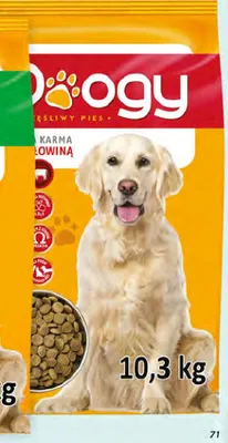 Sucha karma dla psa z wołowiną Doogy promocja w Dino