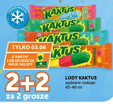 Lody Kaktus Long promocja w Groszek