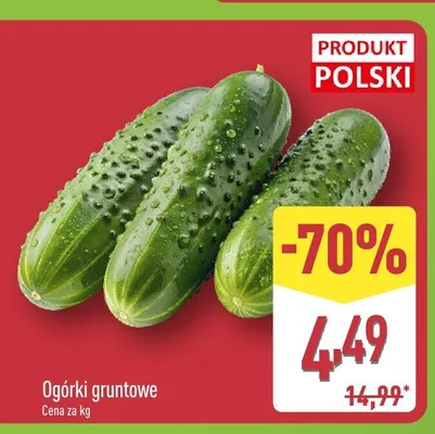 Ogórki gruntowe polskie promocja w Aldi