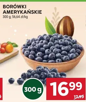 Borówki amerykańskie promocja w Stokrotka