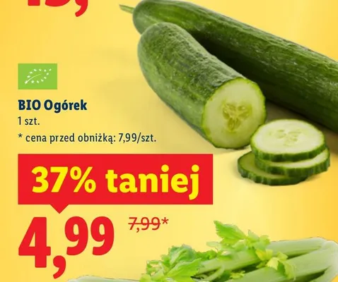 Ogórek bio promocja w Lidl