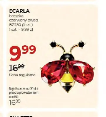 Broszka czerwony owad BRZ30 Ecarla promocja w Drogerie Jawa