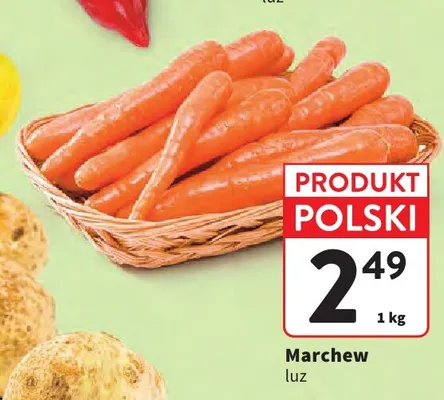 Marchew promocja w Intermarche