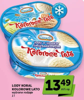 Lody Kolorowe Lato wybrane rodzaje promocja w Groszek