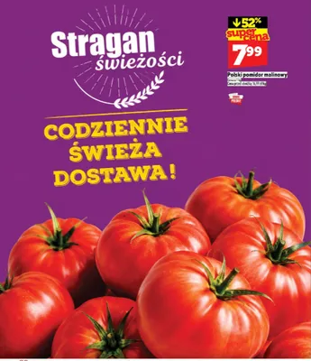 Pomidor malinowy polski promocja w TOPAZ