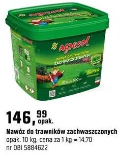 Katalog Ogród, strona 173 promocja w OBI
