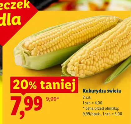 Kukurydza świeża 2-pak promocja w Lidl