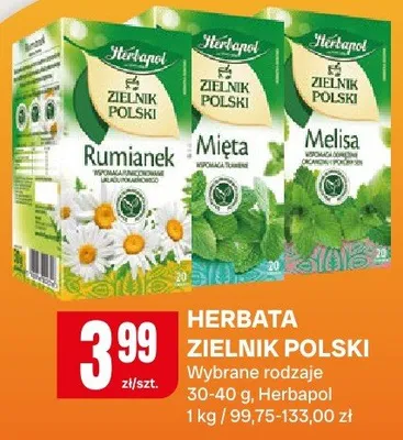 Herbata zielnik polski promocja w Chorten