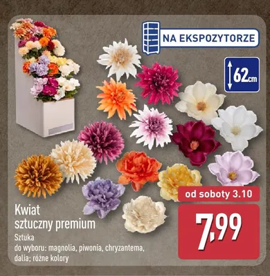 Kwiat sztuczny premium piwonia promocja w Aldi