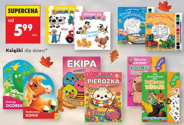 Książka dla dzieci Zielony Ogórek promocja w Biedronka