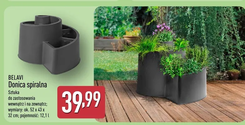 Donica spiralna promocja w Aldi