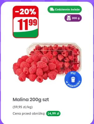 Malina promocja w Dino