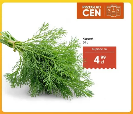 Koperek promocja w Dino