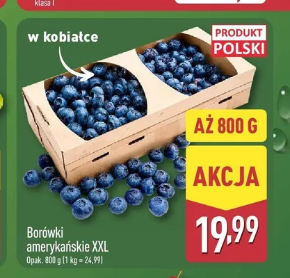 Borówki amerykańskie XXL polskie promocja w Aldi