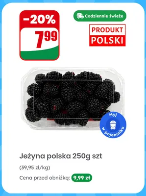 Jeżyna polska promocja w Dino