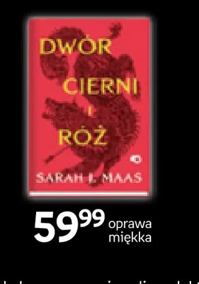 Książka Dwór cierni i róż Sarah J. Maas oprawa miękka promocja w Empik