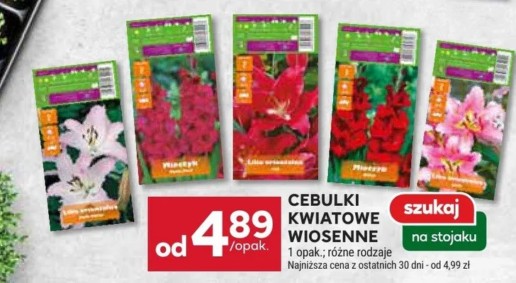 Cebulki kwiatowe Inkarho promocja w Stokrotka