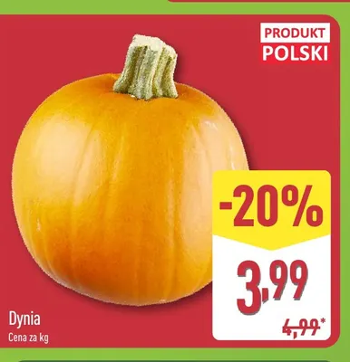 Dynia promocja w Aldi
