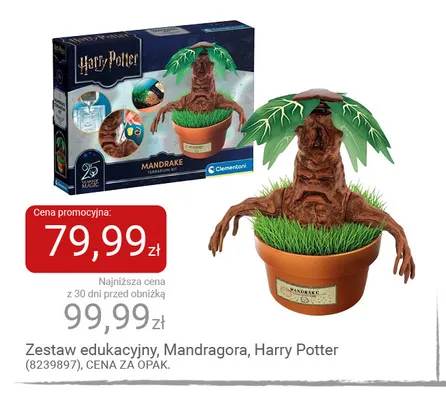 Zestaw edukacyjny Mandragora Harry Potter promocja w Smyk