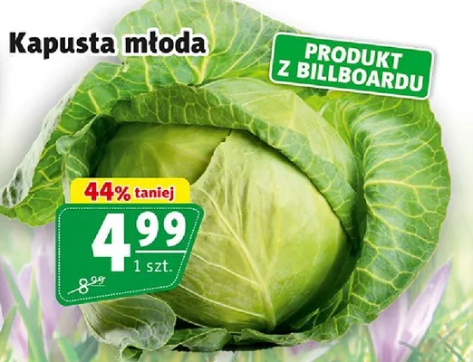 Kapusta młoda promocja w Prim Market