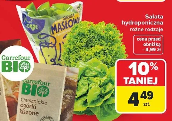 Sałata promocja w Carrefour