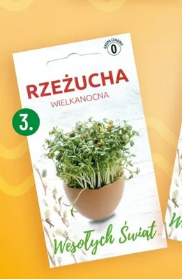 Rzeżucha wielkanocna promocja w POLOmarket