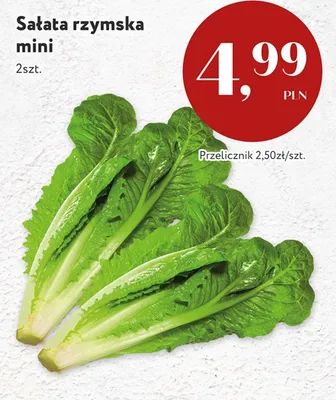 Sałata rzymska mini promocja w Market Point